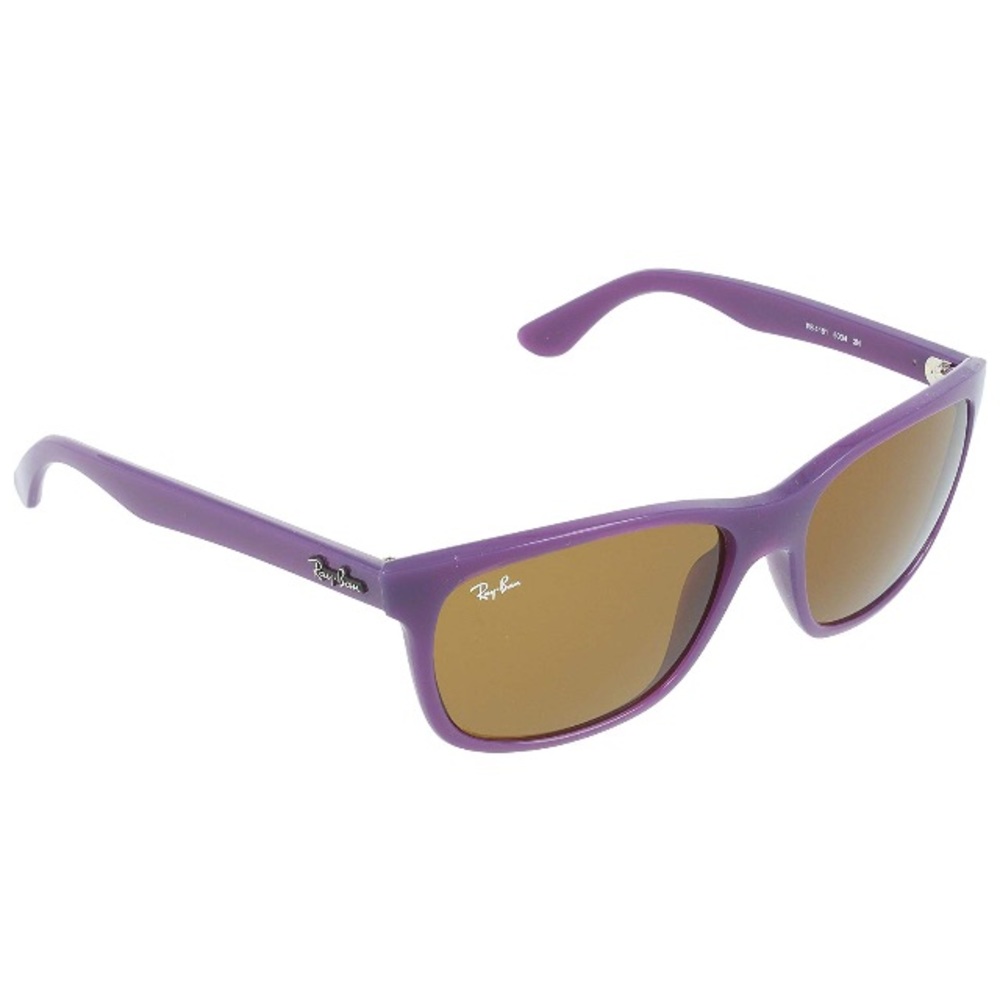 RayBan Violet High Street Sunglasses